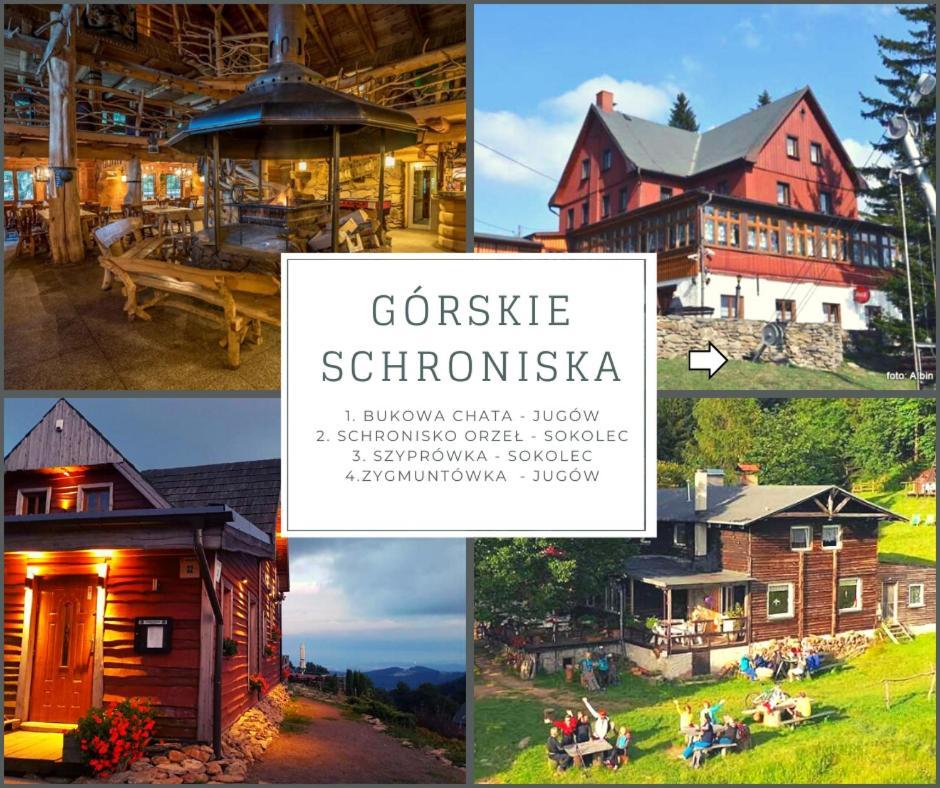 Sloneczny Apartament Blisko Jeziora I Gor Bielawa  Exteriér fotografie
