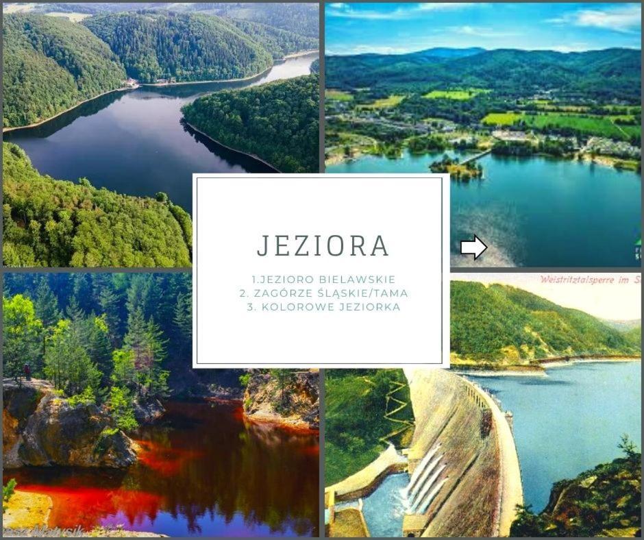 Sloneczny Apartament Blisko Jeziora I Gor Bielawa  Exteriér fotografie